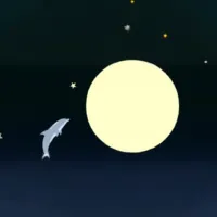 Dolphin Olympics